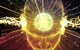 ssap挑戰(zhàn)人機(jī)互動(dòng)科技巔峰 ai獨(dú)角獸崛起澳洲