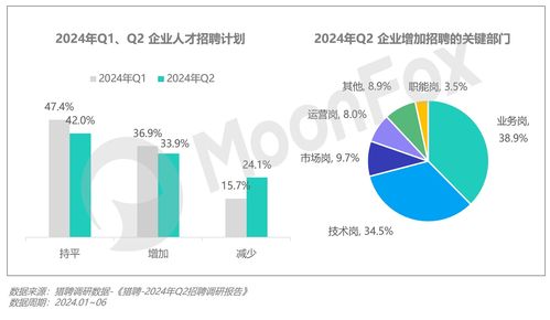 2024年第二季度中國(guó)移動(dòng)互聯(lián)網(wǎng)行業(yè)數(shù)據(jù)研究報(bào)告