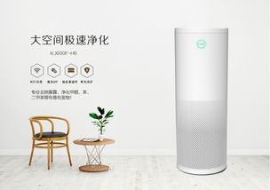 歐朗德斯 以德國匠心打造高效除醛利器，實(shí)用性深度解析