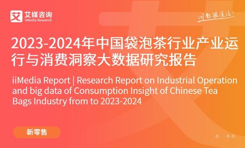 2023年中國品牌電商服務商行業研究報告發布 艾媒咨詢深度解析市場趨勢與機遇